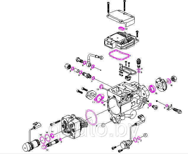 Ремкомплект ТНВД Bosch VP29/30 F00N350001 OMS 10-15-156 - фото 3 - id-p185011433