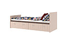 Кровать с двумя ящиками КР2Я Ронда, фото 2