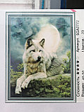 Алмазная мозаика, в ассортименте "Лисы, волки", фото 9
