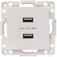 Розетка EKF PROxima Стокгольм EYR16-028-10-2USB