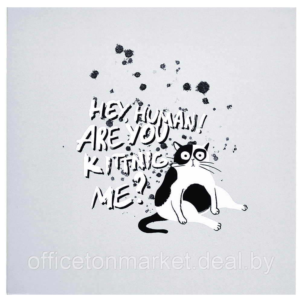 Альбом для рисования "Hey human кот", 170x170 мм, 40 листов, склейка, голубой - фото 1 - id-p185060648