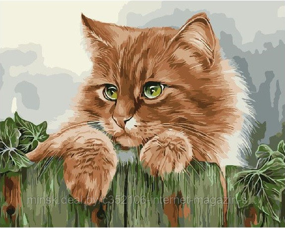Рисование по номерам "Рыжая кошка" картина