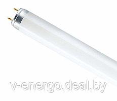 Лампа люминесцентная L 36W/640 36Вт T8 4000К G13 смол. OSRAM