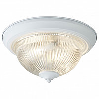 Накладной светильник Arte Lamp Aqua A9370PL-2WH