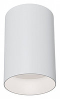 Накладной светильник Maytoni Alfa C014CL-01W