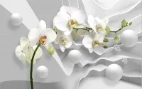 Фотообои листовые Vimala 3D Орхидея и шары