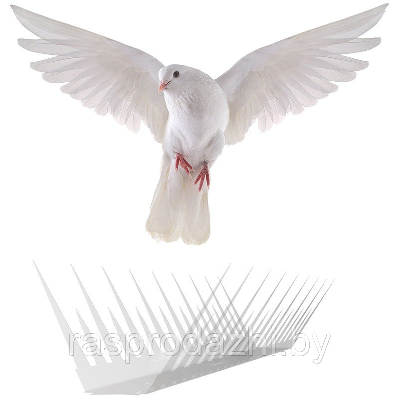 Пластиковые противоприсадные шипы от птиц SITITEK Барьер 2П (30 см, 34 шипа, 2 ряда) - фото 1 - id-p185185364