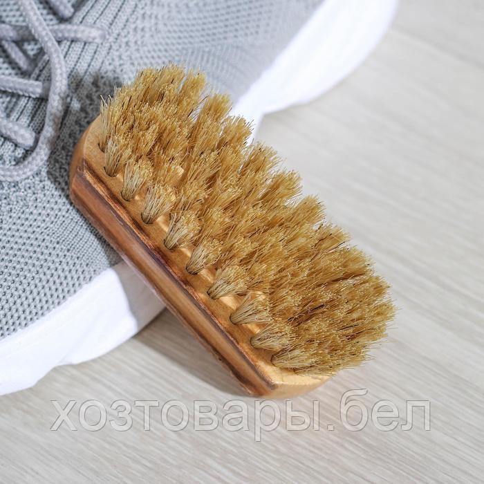 Щетка для обуви, 9×3,5 см, натуральная щетина - фото 2 - id-p185195421