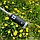 Автоматический складной зонт Farol, c фонариком, d - 98 см, фото 3