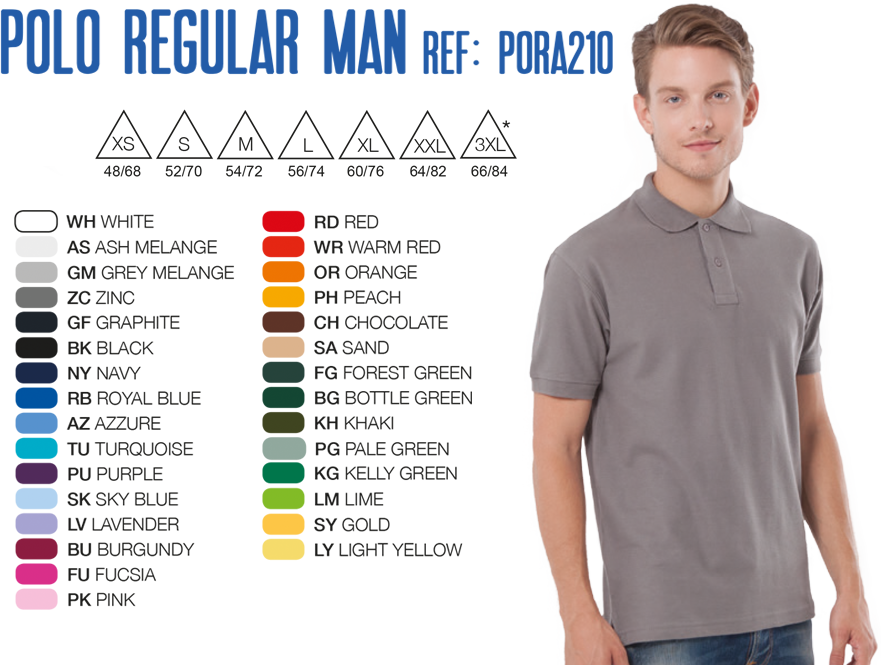 Оптом Рубашка-поло мужская REGULAR MAN размер 3XL-5XL
