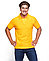 Оптом Рубашка-поло мужская REGULAR MAN размер XXL-3XL, фото 3