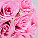 Букет-дублер «Свежесть», 7 шт., розы, фото 2