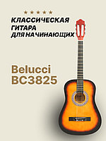 Классическая гитара 6-ти струнная 7/8 Belucci BC3825