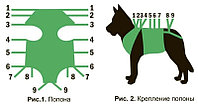 Послеоперационная попона для собак (№2)