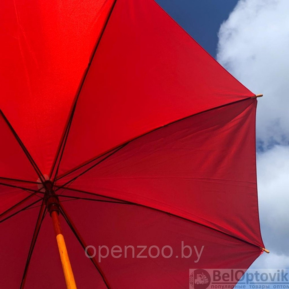 Зонт-трость универсальный Arwood Полуавтоматический / деревянная ручка Зеленый - фото 5 - id-p185297609
