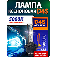 Лампы ксенон D4S Blue light (2шт.)