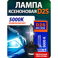 Лампа ксенона D2S Bluelight
