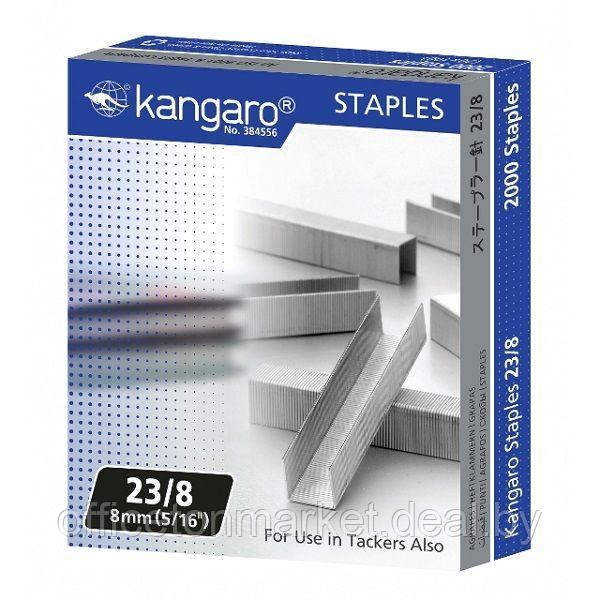 Скобы "Kangaro", 23/8, 2000 шт, металлик - фото 1 - id-p137120524