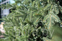 Ель интерьерная Финская 5м (литые ветки + хвоя пленка) Green Trees, фото 3