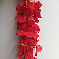 Лиана цветочная Гортензия 2,3 м, красная