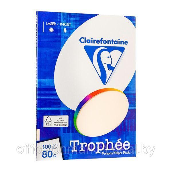 Бумага цветная "Trophée", А4, 100 листов, 80 г/м2, кремовый - фото 1 - id-p185426927
