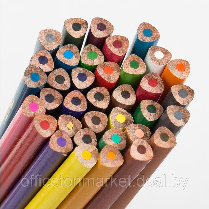Цветные карандаши "Мультики", 36 цветов - фото 4 - id-p137124123