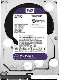 Жесткий диск WD Purple 4TB [WD40PURZ]