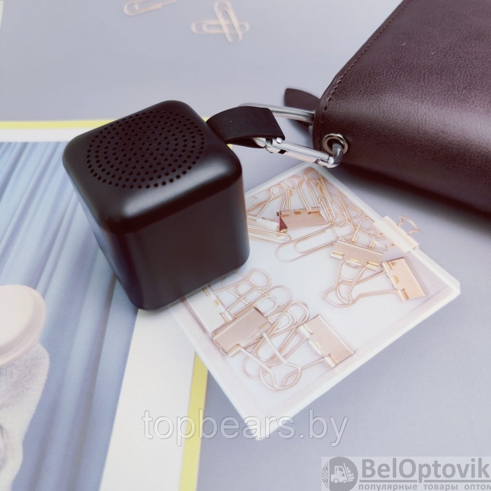 Стерео колонка - брелок Slaigo mini, TWS, Bluetooth (идеальный звук в миниатюре) - фото 9 - id-p185583441