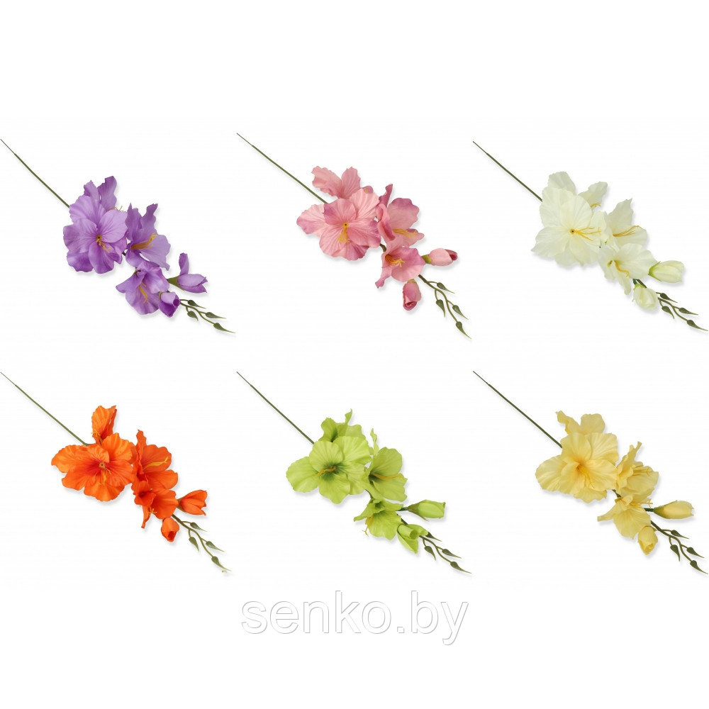 Гладиолус SM2-630B, 12 шт. в уп./1 шт.-1.60 руб.