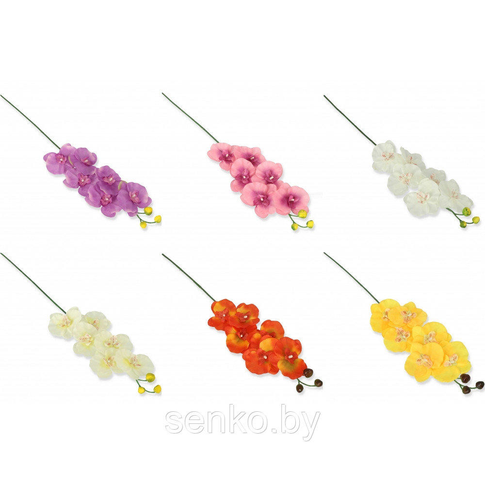 Орхидея 3C- Lb33. 6 шт. в уп. /1 шт.-2.00 руб.