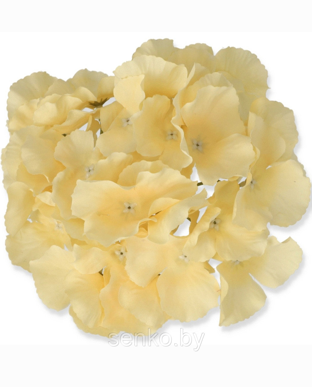 Гортензия 3С-Le18. 12 шт. в уп./1 шт.- 2.00 руб.