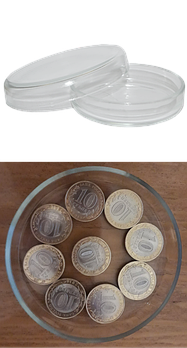 Комплект из двух чашек Петри (100 и 90 мм), стекло