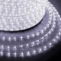 Гибкий светодиодный шнур "Дюралайт " LED-D13-220V-2W PRO Хол.белый/ Китай