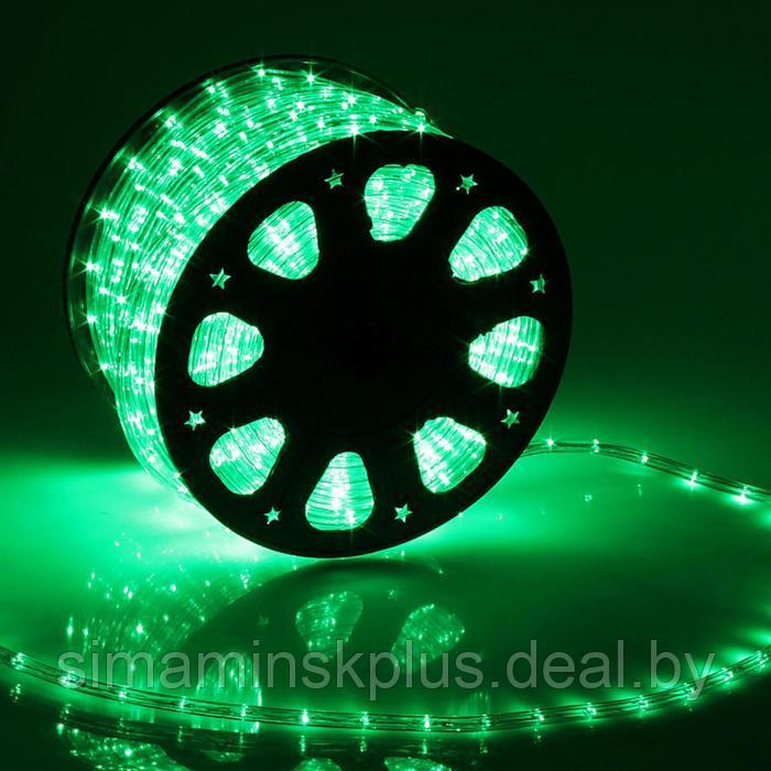 Световой шнур Luazon Lighting 11 мм, IP65, 100 м, 24 LED/м, 220 В, 2W, постоянное свечение, свечение зелёное - фото 1 - id-p185964606