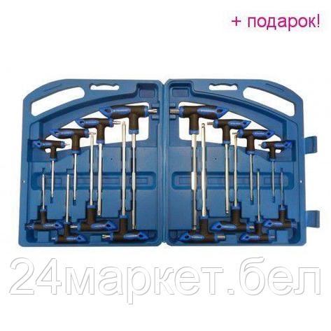Набор ключей Т-образных TORX/6-гранныхс шаром,16пр.(Н:2,2.5х75, 3,4х100, 5,6х150, 8,10х200мм; Т:10,15х75,, фото 2