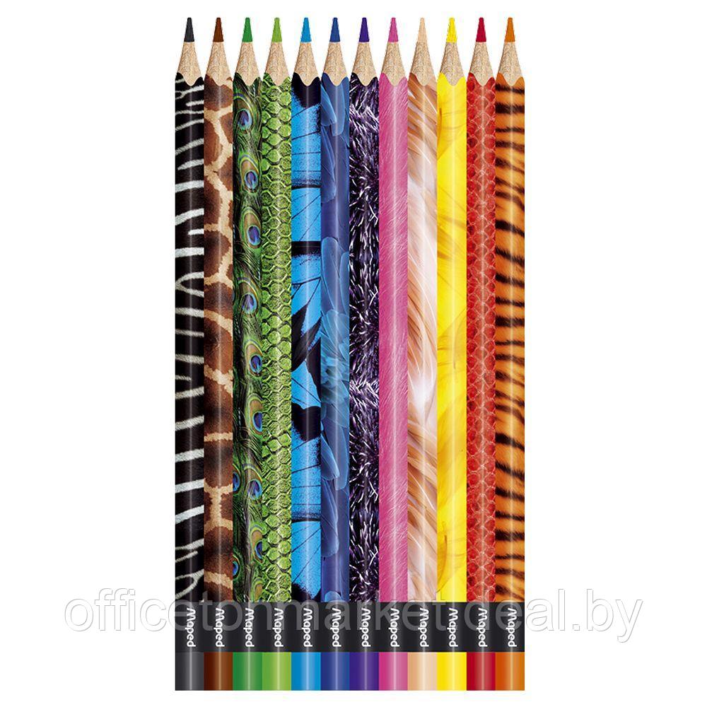 Цветные карандаши Maped "Color' Peps Animal", 12 цветов - фото 2 - id-p137124116