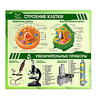 Школьный стенд в кабинет биологии "Строение клетки"