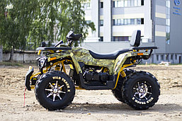 Квадроцикл Motoland Wild Track X Pro 200, фото 3