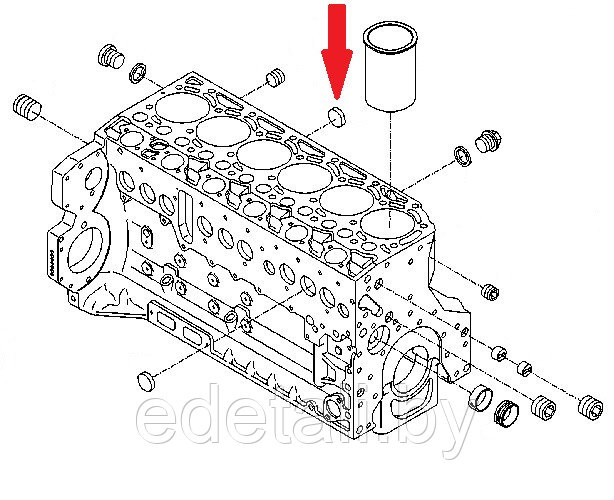 6005026300 Заглушка блока двигателя - фото 1 - id-p186294742
