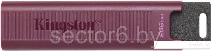 USB Flash Kingston DataTraveler Max Type-A 256GB - фото 1 - id-p186313752