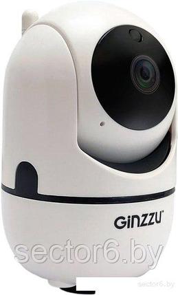 IP-камера Ginzzu HWD-2302A, фото 2
