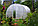 Теплица из поликарбоната 12-и метровая "Слава ПК-2015"(оцинкованный профиль 0,8мм+поликарбонат с защитой от УФ, фото 3