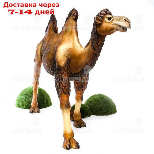 Верблюд ростовая фигура - фото 2 - id-p101458536
