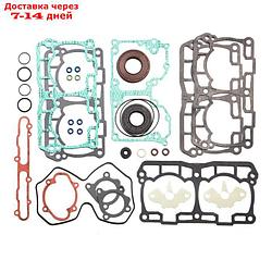 Комплект прокладок с сальниками, Ski-doo, OEM 420894265