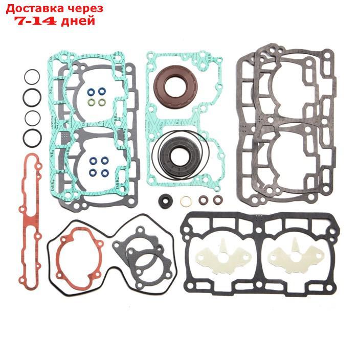 Комплект прокладок с сальниками, Ski-doo, OEM 420894265 - фото 1 - id-p186412462