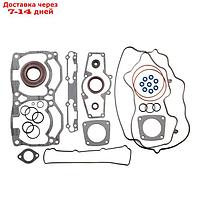 Комплект прокладок с сальниками, Ski-doo, OEM 420931287, 420430540, 420630460, 420630461