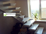 Деревянные лестницы от производителя в Минске из бука №1, фото 2