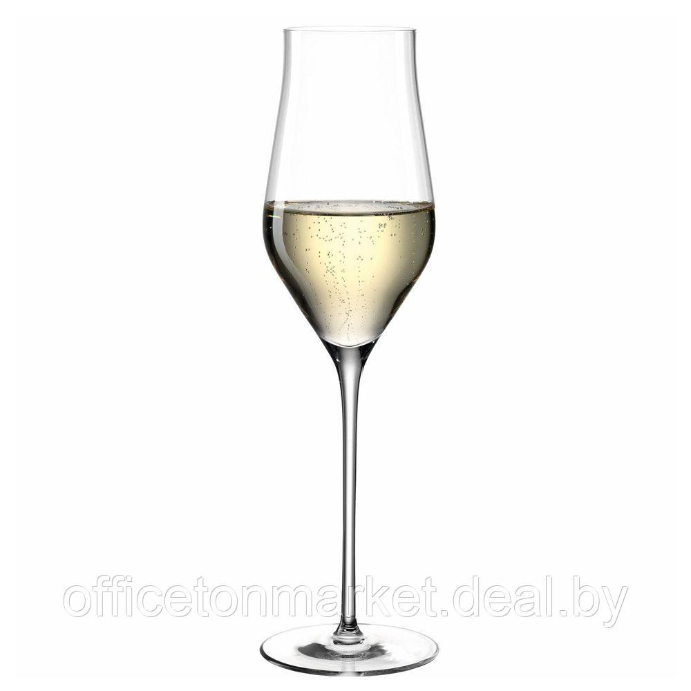 Набор бокалов для шампанского "Brunelli", стекло, 340 мл, 6 шт, прозрачный - фото 2 - id-p178286086