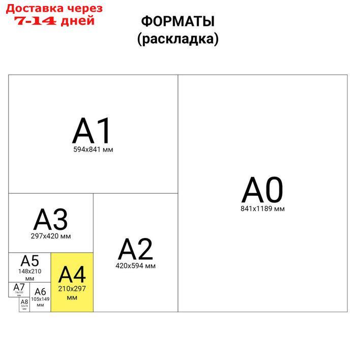 Пленки для ламинирования 100 штук BRAUBERG А4, 75 мкм, глянцевая - фото 6 - id-p59403787