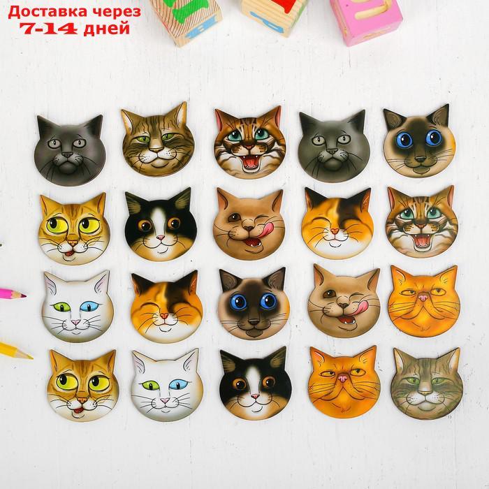 Игра для тренировки памяти "Мемо. Коты" - фото 2 - id-p177340254
